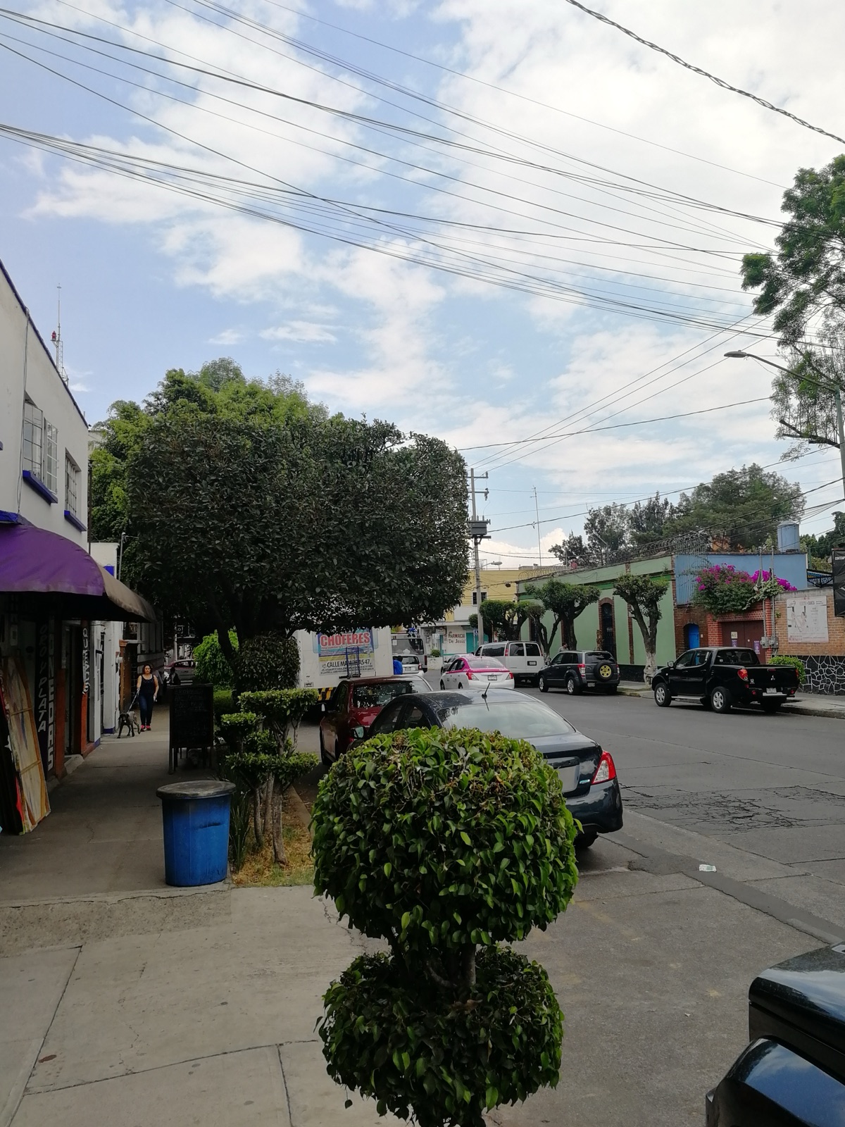 Calle Xicoténcatl arbolada en Coyoacán, Ciudad de México